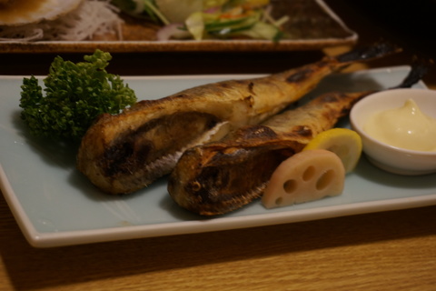 0D303AFC-28DB-4643-B1FE-40E39FCE492F.JPG