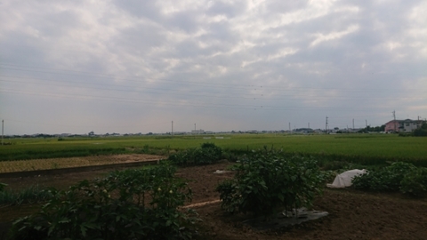 20190912184255927.jpg