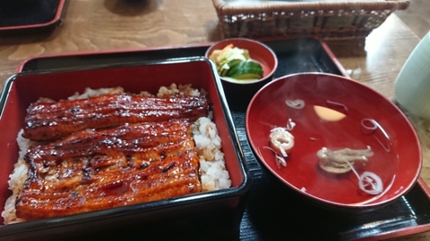 20190912191527066.jpg