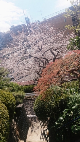 20200324112042381.jpg