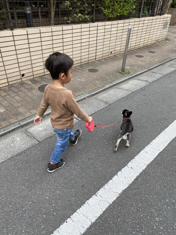 26E03EE7-535C-4A01-8EFA-380EC86A6AA0.jpg