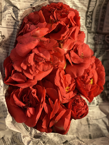 47F7BF24-798B-4D26-8433-FADC1C3A3B6E.jpg