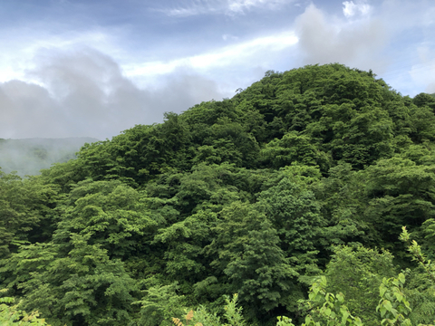 5A126D23-FF9B-4FD5-936E-C89E2A2561F0.jpg
