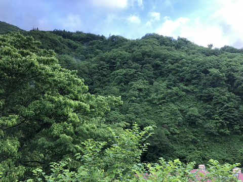 8FF1A931-30ED-4B48-BC33-DEDB31B1EBAA.jpg