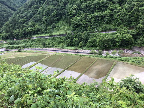 EEDF9E41-B634-41A3-BC54-A07AB103F636.jpg