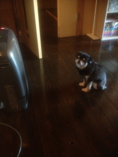 image-20121121184355.png