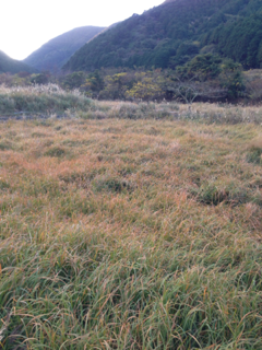 image-20121130154214.png