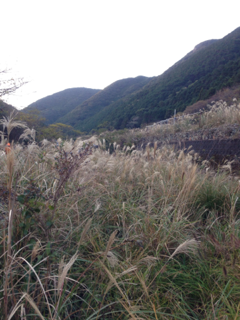 image-20121130154237.png