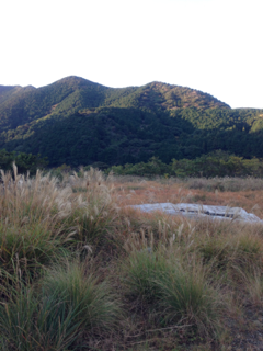 image-20121130154255.png