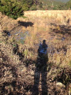 image-20121130154331.png