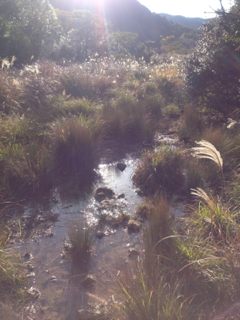 image-20121130154419.png