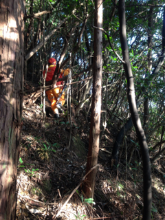 image-20121130154721.png