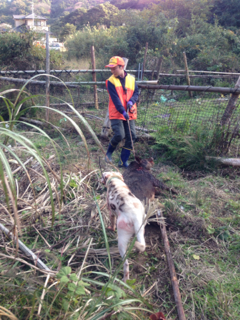image-20121202180834.png