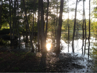 image-20131008133426.png