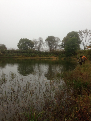 image-20131008133525.png