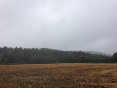 image-20131008133715.png
